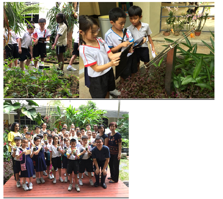 Young school children in uniforms explore and observe plants outdoors, with a group photo showing teachers and students.